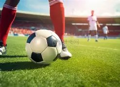 欧博,产品,ABG欧博,欧博官网,欧博品牌,欧博精彩,欧博娱乐